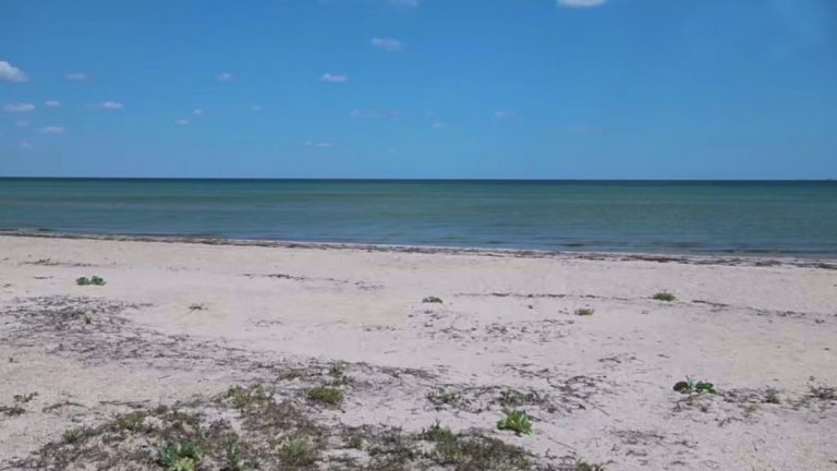 Окупанти, знищивши на Херсонщині туризм, закликають власників готелів і закладів харчування до співпраці