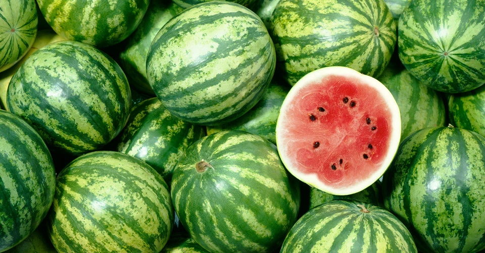 "Як би важко не було": Фермери Херсонщини заявляють, що врожай кавунів є, хоч і не в довоєнних масштабах