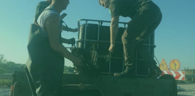 На Херсонщині з Миловської затоки Каховського водосховища перемістили півтонни риби