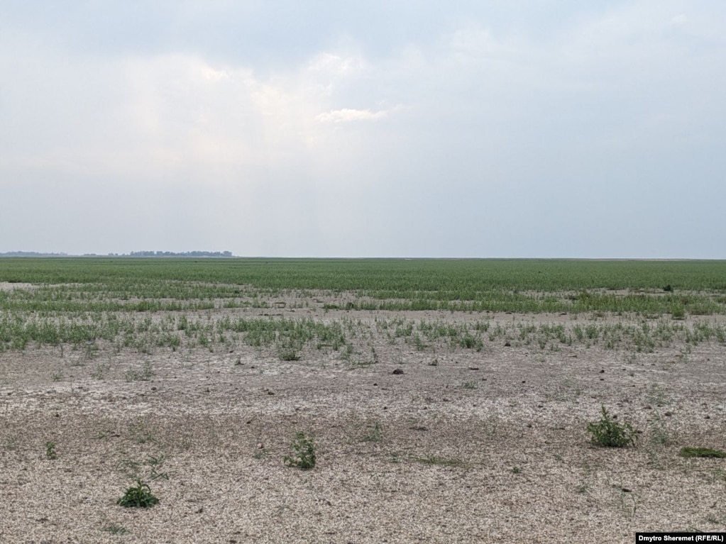 Внаслідок руйнування контрольованої російськими окупаційними військами Каховської ГЕС виникли проблеми зі зрошуванням та питною водою в населених пунктах, розташованих поруч з водосховищем. 