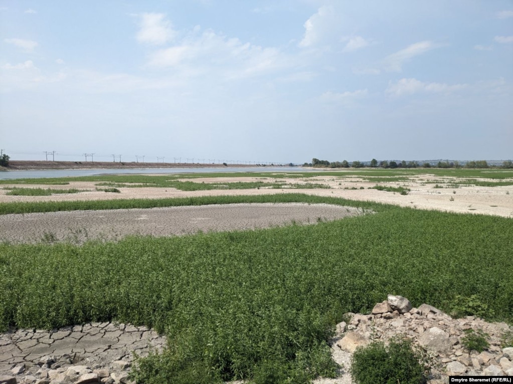 Вже не пустеля: як змінюється територія, яка раніше була під водою Каховського водосховища (фотогалерея)