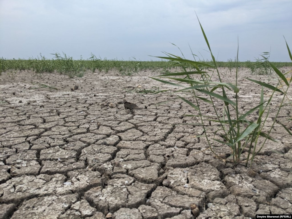 Дно колишнього Каховського водосховища активно заростає різними рослинами. У ніч руйнування Каховської гідроелектростанції (6 червня 2023 року) бійці 205-ї окремої мотострілецької &laquo;казачої&raquo; бригади РФ, яка контролювала ГЕС, мали перебувати &laquo;в готовності&raquo; та готувались до певних дій &laquo;по команді&raquo;, зокрема до залишення території через &laquo;точку відходу&raquo;, що було ускладнено, бо &laquo;все затоплено&raquo;. Це випливає із перехоплення розмов військових 205-ї бригади РФ у ніч знищення греблі, яку наводять у спільному розслідуванні журналісти &laquo;Схем&raquo; (проєкт Радіо Свобода) та агенції &laquo;Слідство.Інфо&raquo;.