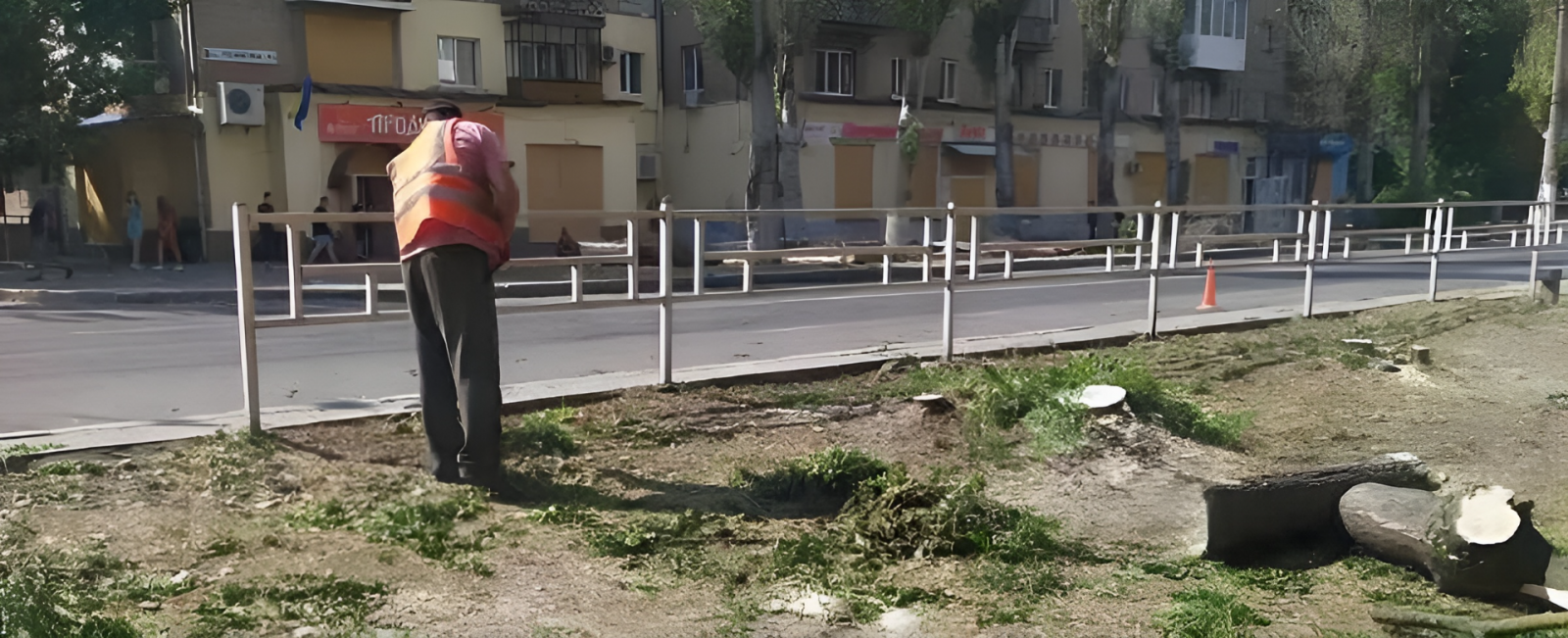 На центральному проспекті Херсона ліквідовують аварійні дерева