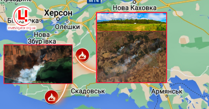 На окупованій Херсонщині горять 14 000 га лісу