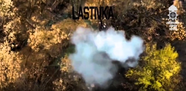 Нацгвардійці виявили та знищили замаскований спостережний пост військ рф на Херсонщині