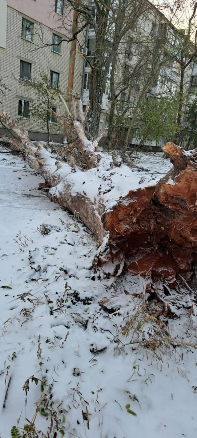 Ворожі обстріли та негода: Херсонська МВА показала наслідки минулої ночі у місті
