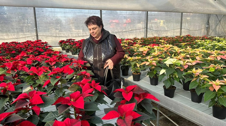 Новокаховські освітяни відвідали професійні школи в Італії