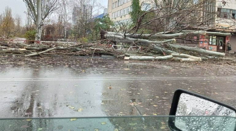 Повалені дерева і обриви ліній електропоредач: Нову Каховку накрила негода