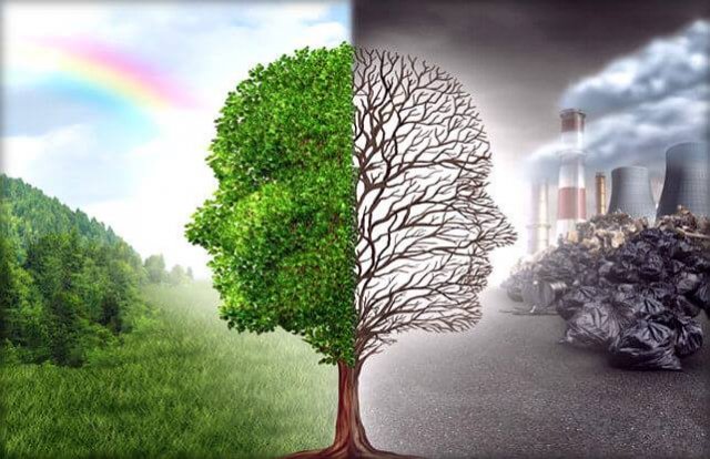 Спеціалізована екологічна прокуратура прозвітувала за 2023 рік