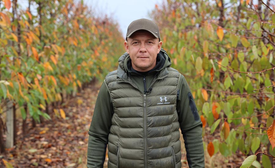 Як знищують обстрілами сад підприємця з селища Велетенського