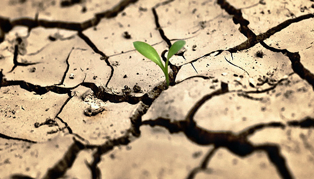 Українські аграрії вперше застосують інноваційне рішення для протидії посухам