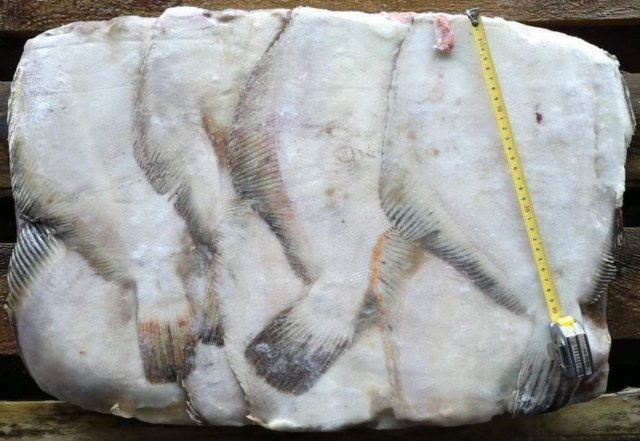 Камбала дешевша за бички: ціни на рибу в окупованому Генічеську