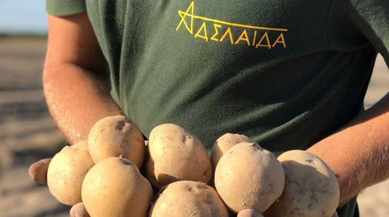 Як підприємство з Херсонщини практично з нуля відродило меліорацію на Звягельщини