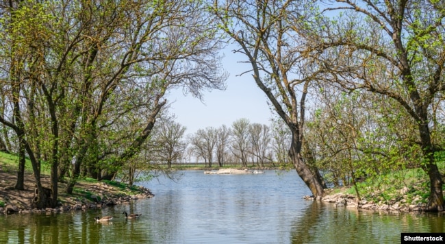 Заповідник «Асканія-Нова»