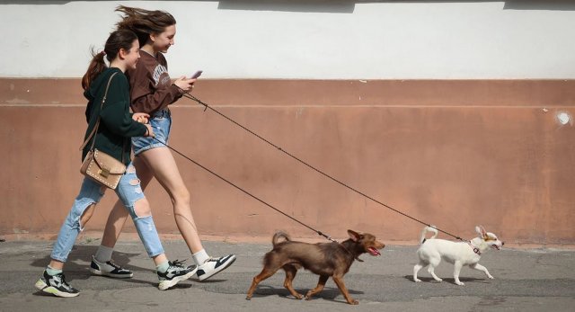 У березні в Херсоні синоптики зафіксували нові температурні рекорди
