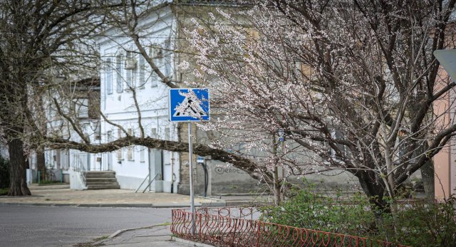 До України дійшла хмара пилу із Сахари: які наслідки для клімату Херсонщини