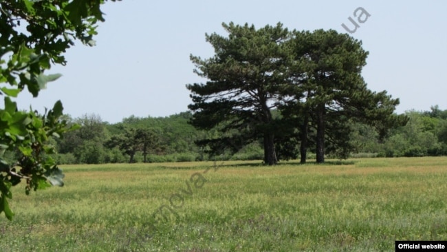 Територія заповіднику «Асканія-Нова»