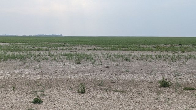 За втручання прокуратури припинено нецільове використання земельних ділянок площею понад 190 га вартістю 41 млн грн на Херсонщині