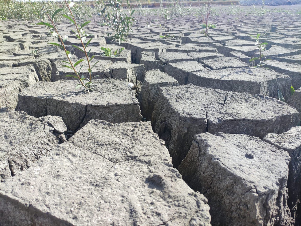 Природа не терпить пустоти