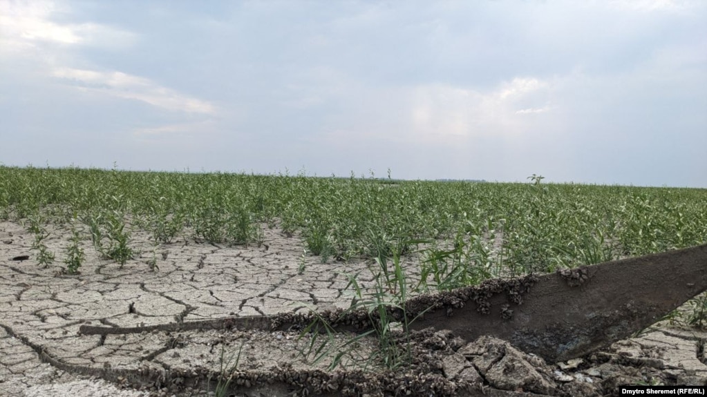 Рік без Каховського водосховища: як виживає український південь