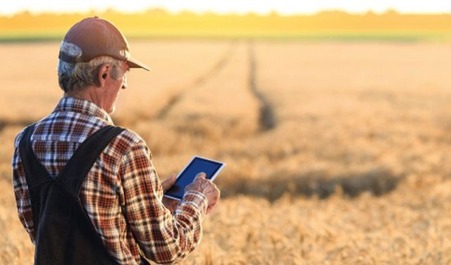 Уряд дозволив відстрочення повернення держкредитів фермерськими господарствами, які залишилися на прифронтових або окупованих територіях