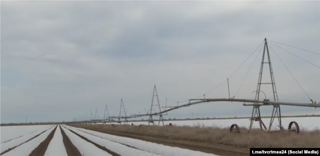 Зрошувальна система біля сходів моркви на полі біля села Березівка, Крим, березень 2024 року