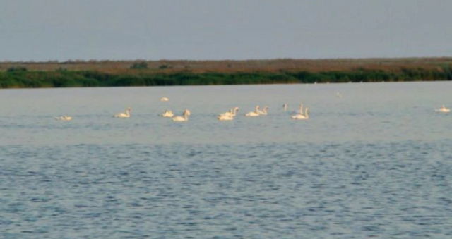 На ремонті Каланчацького лиману окупаційна влада Херсонщини намагається відмити 60 мільйонів рублів
