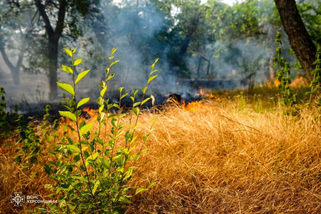 Впродовж доби рятувальники Херсонщини п’ять разів виїжджали на гасіння пожеж на відкритих територіях