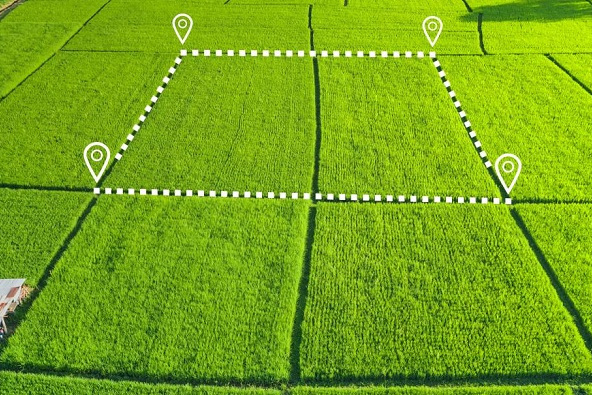 Суд конфіскував земельну ділянку росіянки у Херсонській області