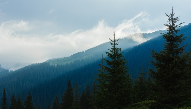 На Закарпатті прикордонники затримали двох херсонців, які намагались дістатись Румунії