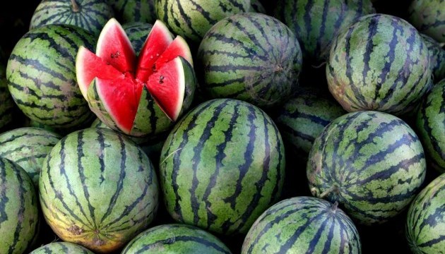 Херсонський кавун отримав географічне зазначення