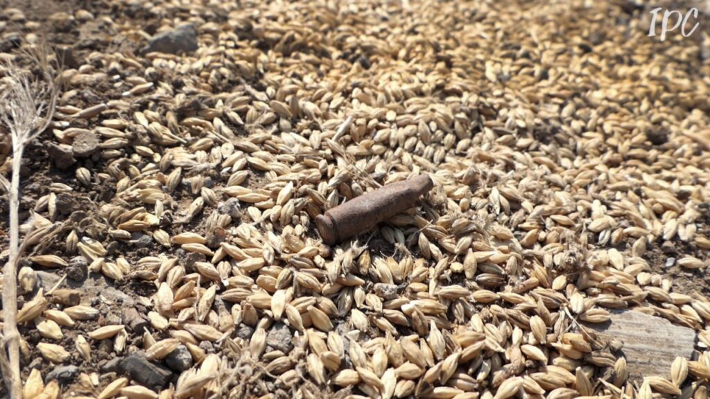 Справжня ціна херсонського хліба: робота аграріїв, попри заміновані поля та ворожі обстріли (Фоторепортаж)