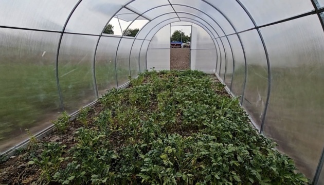 Чорнобаївська громада Херсонщини отримала від партнерів дві сотні теплиць