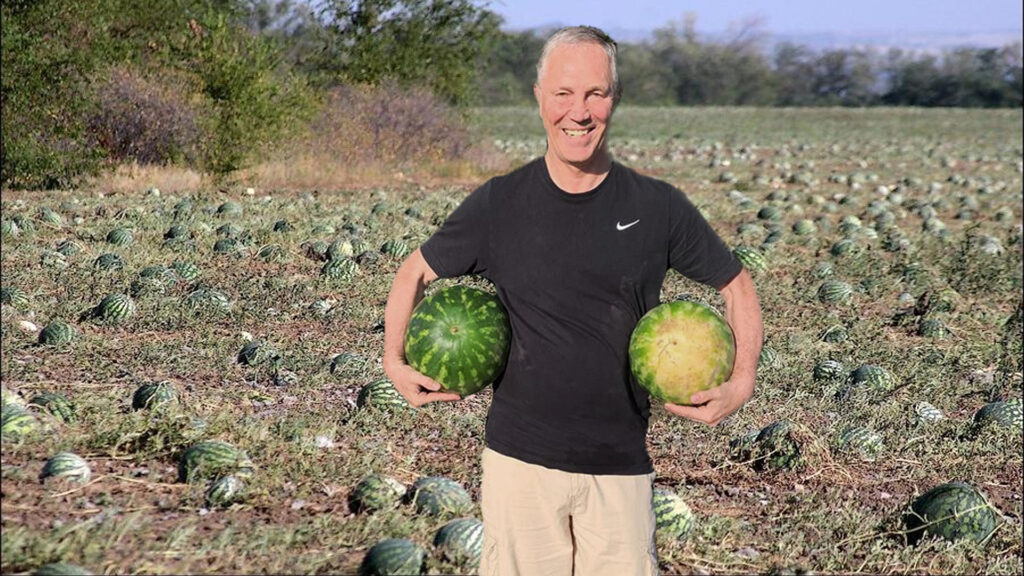 Кавунів не буде! Колаборанти скаржаться на “катастрофічну” ситуацію з врожаєм овочів та баштанних на лівобережжі Херсонщини