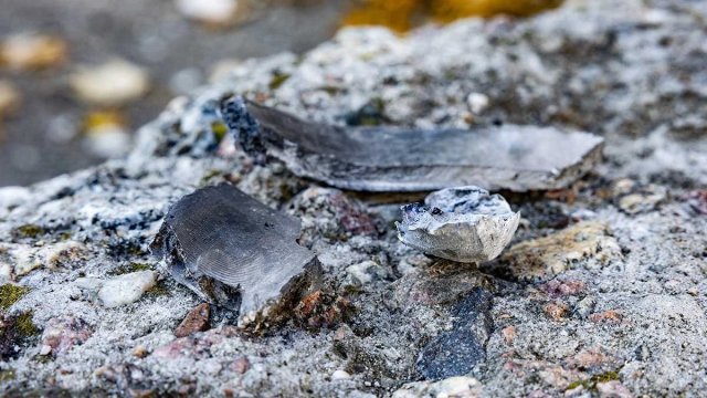 Російські війська атакували один із районів Херсона, поранена людина