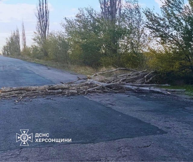 Рятувальники усунули загрозу ДТП у Бериславському районі