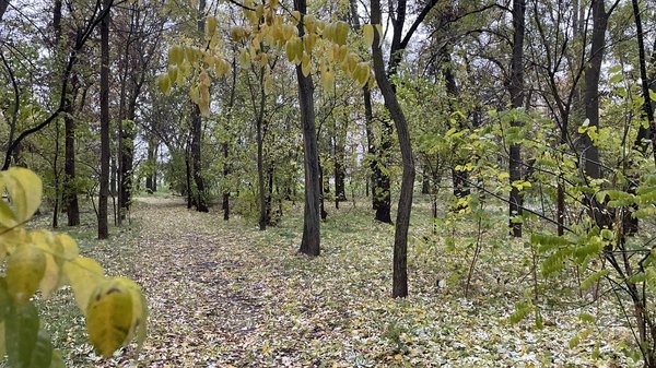 На Херсонщині 30 листопада буде хмарна з проясненнями погода