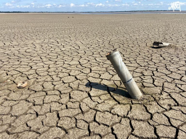 Сальдо розповів про плани побудувати на ТОТ Херсонщини рибогосподарський комплекс