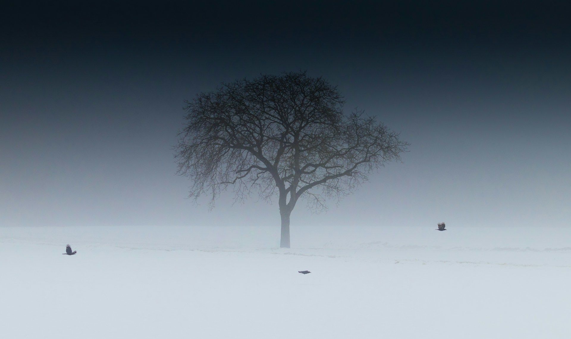 Яке сьогодні, 31 грудня, свято – все про цей день, яке церковне свято, що не можна робити