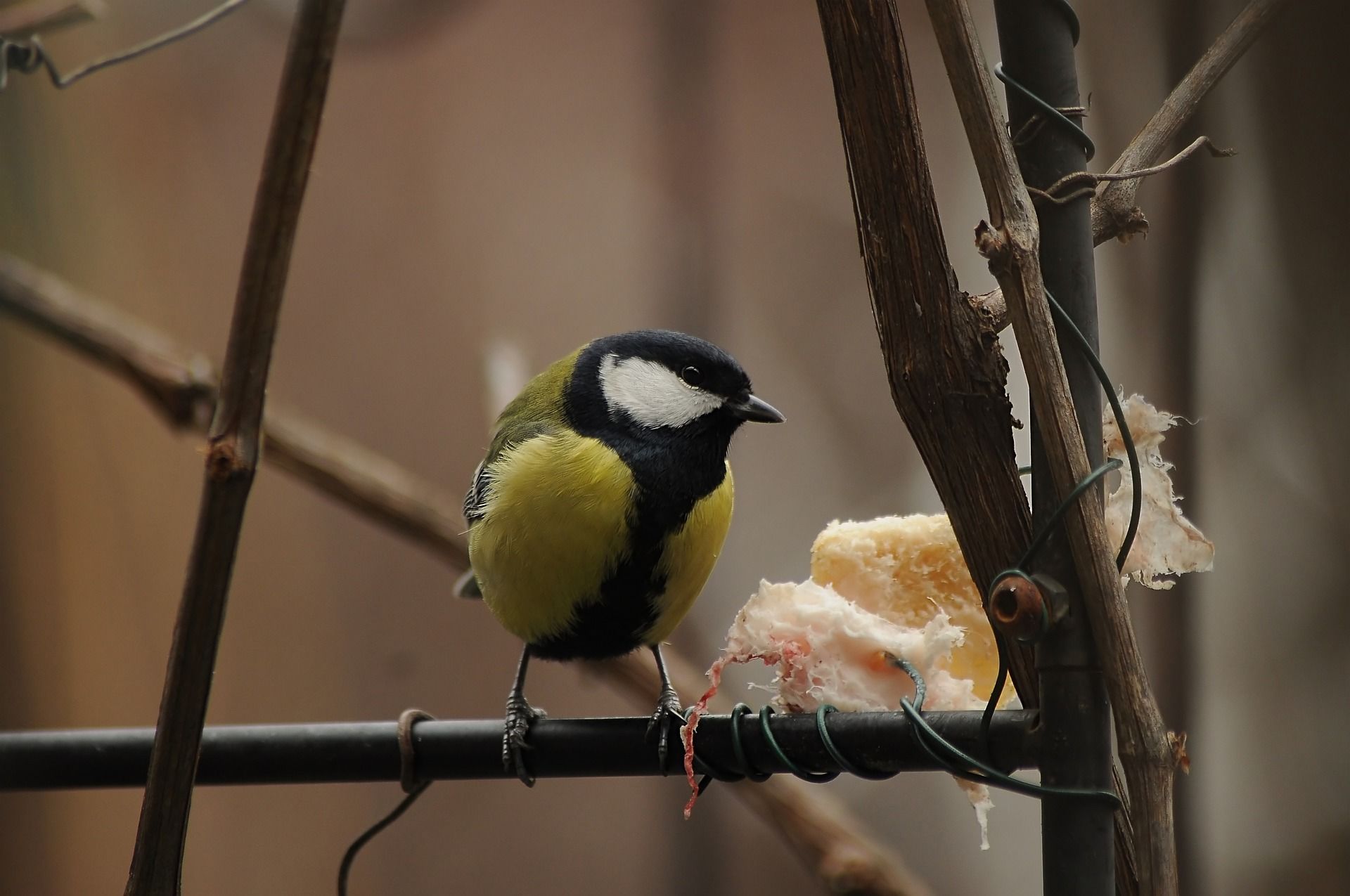 Яке сьогодні, 13 січня, свято – все про цей день, яке церковне свято, що не можна робити