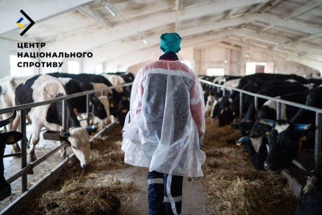 Росіяни беруть під контроль тваринництво на ТОТ