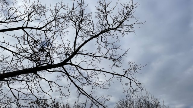 Якою буде погода на Херсонщині 13 лютого