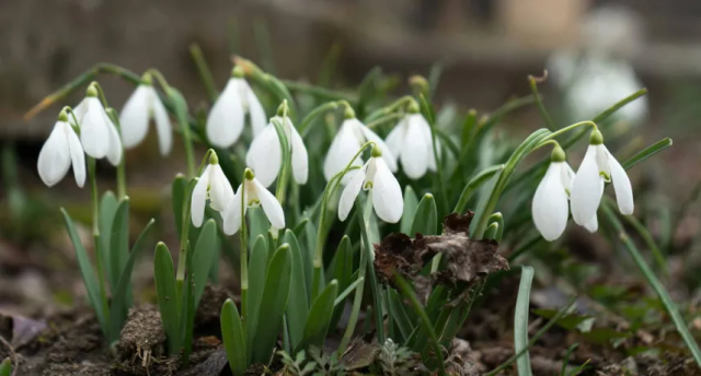Синоптик розповів, коли українцям чекати на потепління: "Потрібно запастися терпінням"