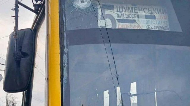 На Бериславщині запустили новий автобусний маршрут: хто може їздити безплатно