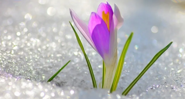 Синоптикиня спростувала інформацію, що потепління в Україні буде різким