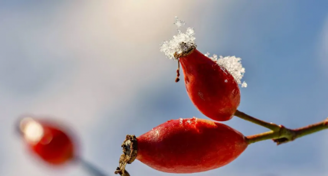 Температура повітря нижче норми та посилення вітру: синоптик озвучив прогноз погоди на вихідні