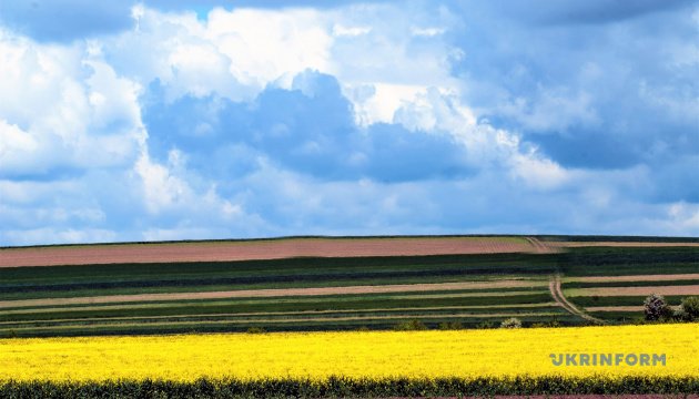 ЄС купує у Білорусі олію з ріпака, вивезеного з окупованої Херсонщини - «Схеми»