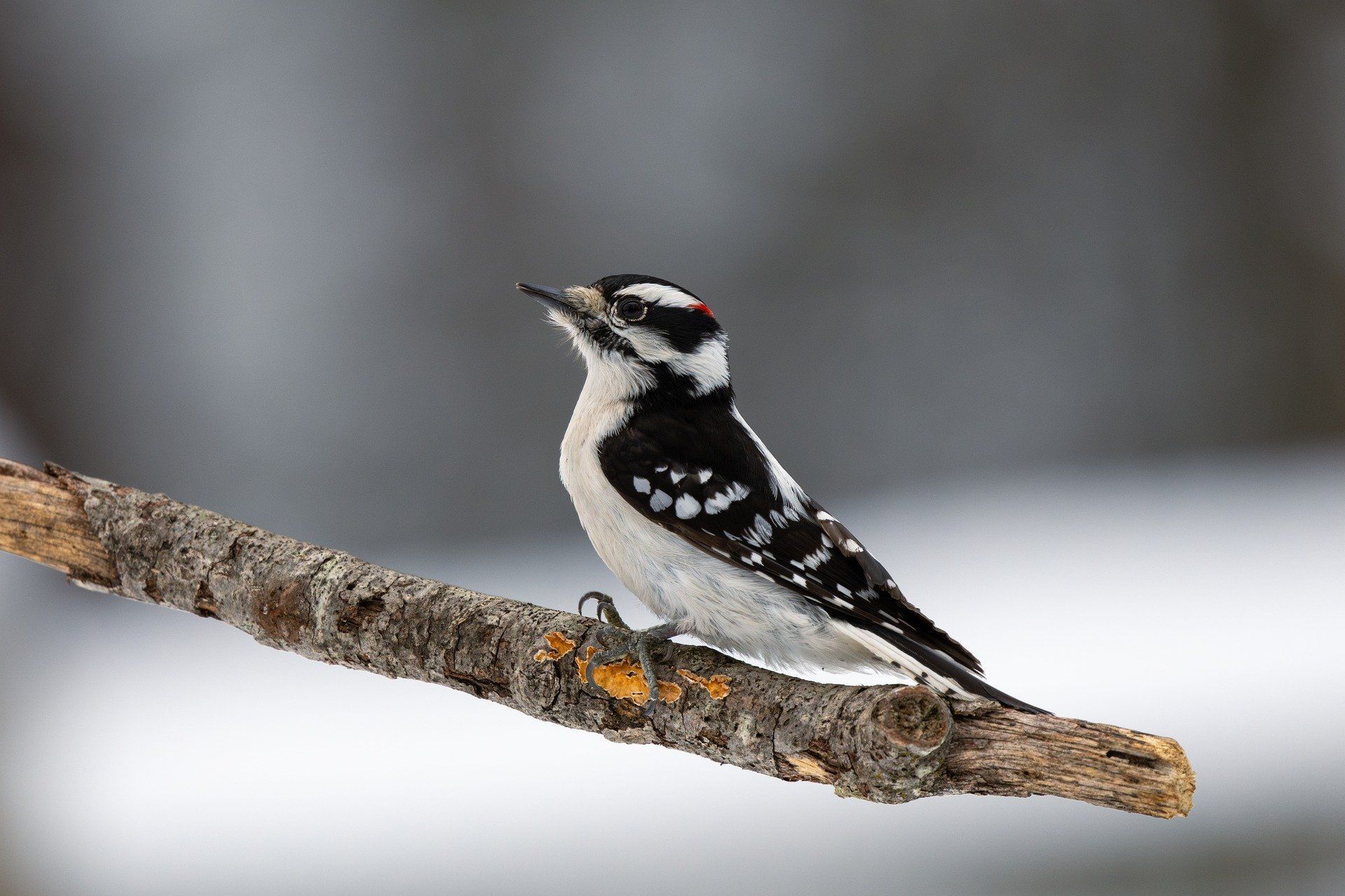 Яке сьогодні, 26 лютого, свято – все про цей день, яке церковне свято, що не можна робити