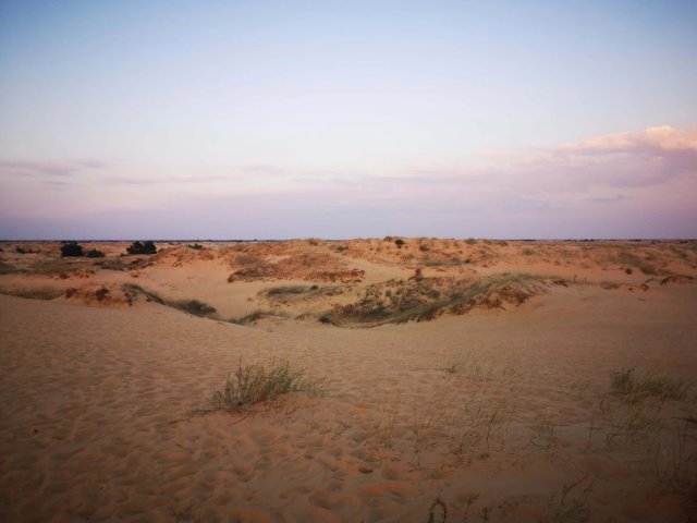 Угода зі США. Чи є на Херсонщині рідкісноземельні метали й що насправді можна тут видобувати 