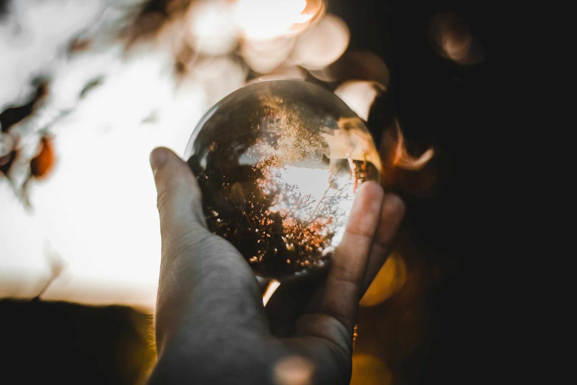 20 березня святкують Всесвітній день Землі / © Unsplash